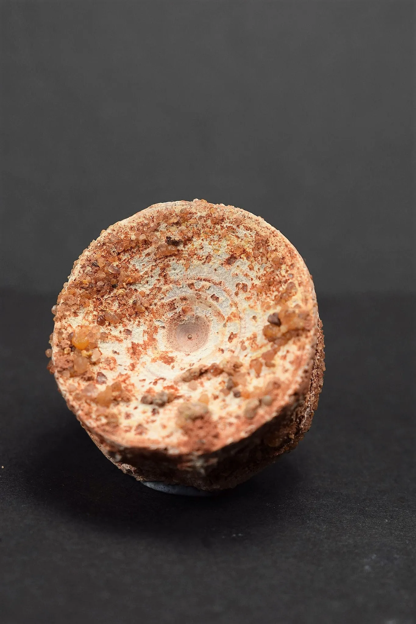 00736 - Rare Preserved 1.35 Inch Concavotectum Moroccensis Fish Vertebra Bone From Kem Kem Basin