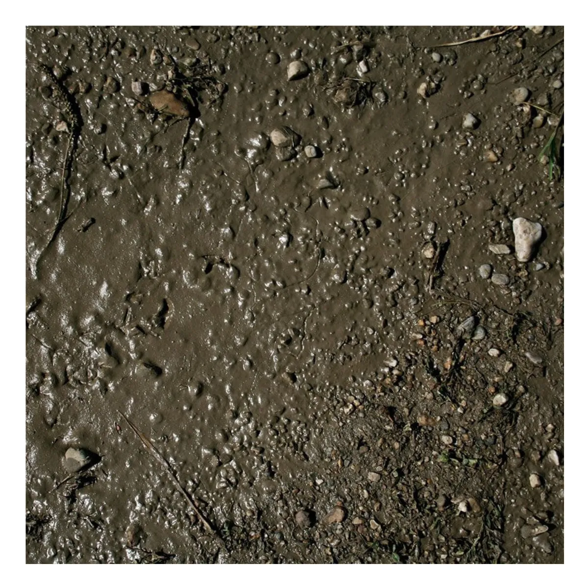 AK Interactive Dioramas - Terrains Wet Ground 250ml