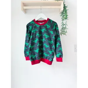 Crocodile Top 4-5