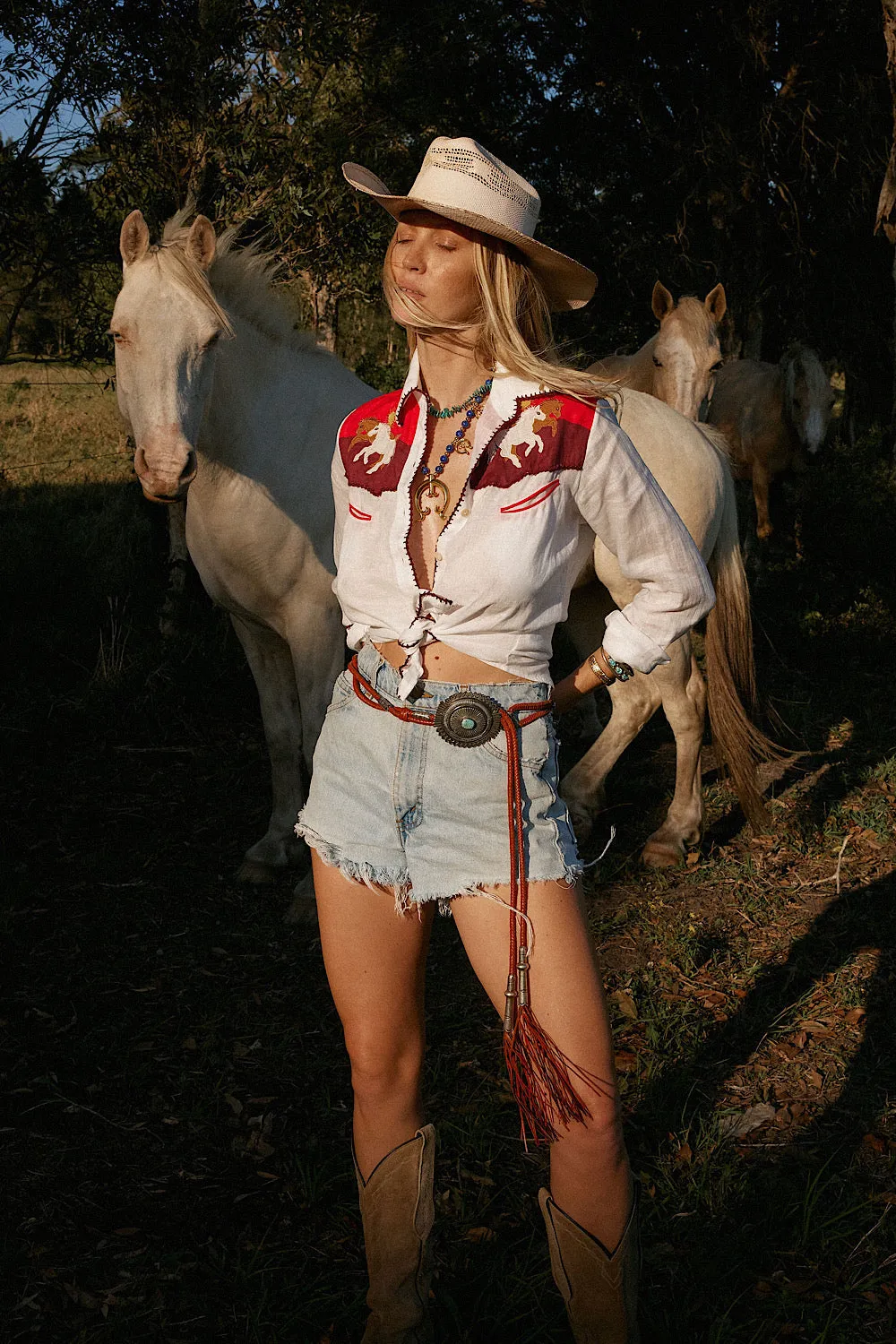 Livin’ In The Country Linen appliqué Western Blouse