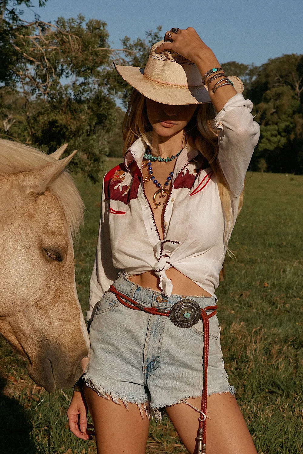 Livin’ In The Country Linen appliqué Western Blouse