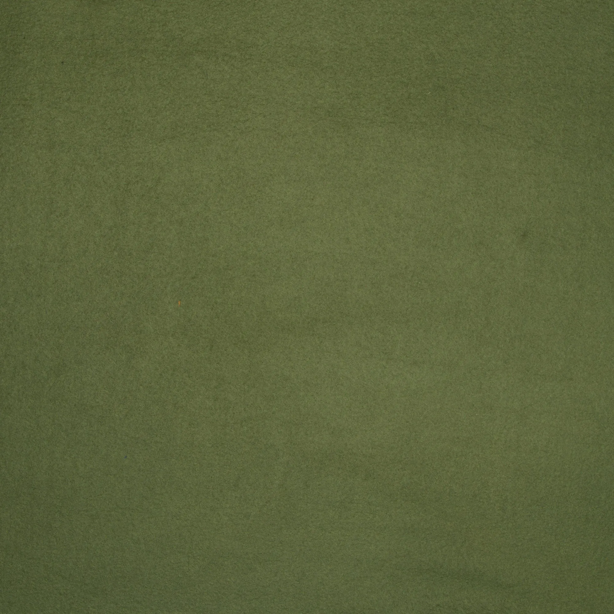 Plain Polar Fleece Olive Green 140cm