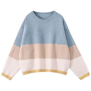 "STRIPED LOOSE" SWEATER N123101