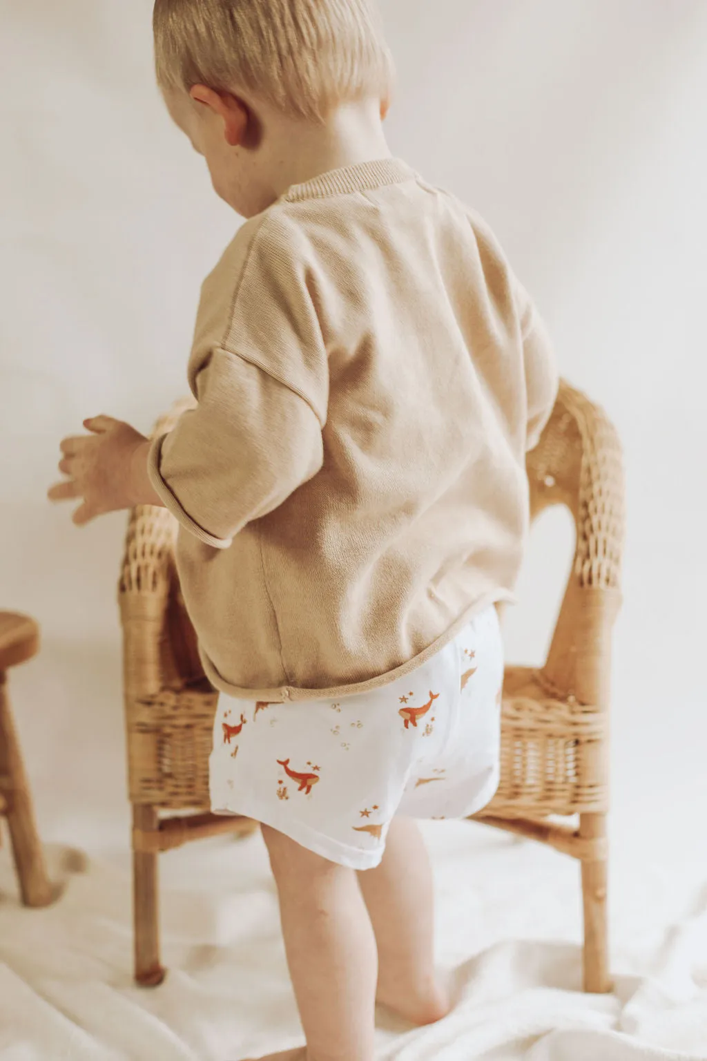 Sunny Cove | Shorties